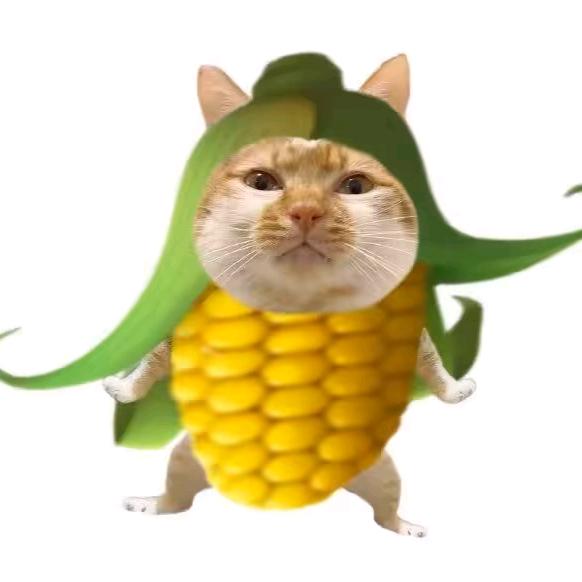 fqqql