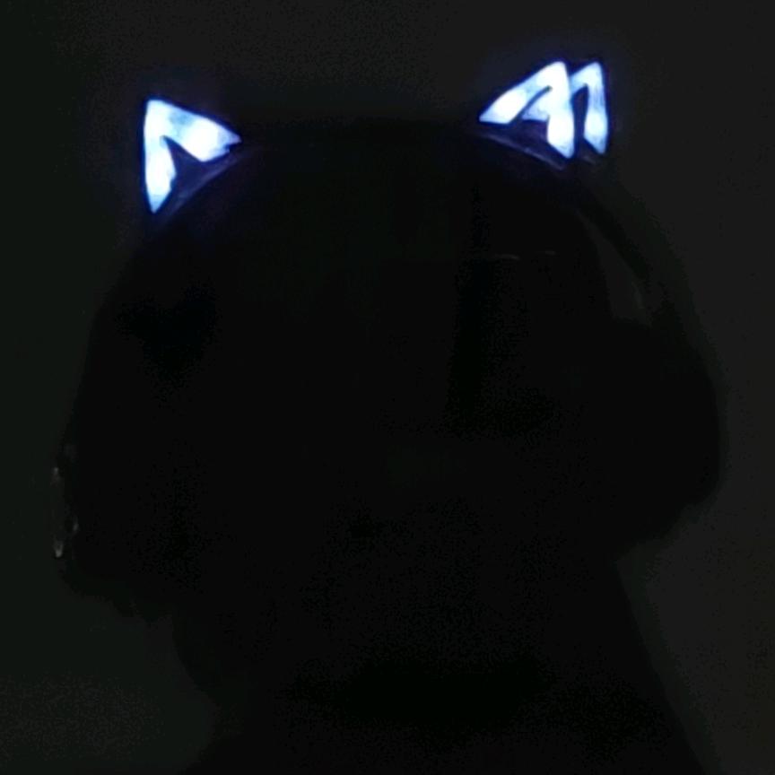 姜饼&阿夜&大佐