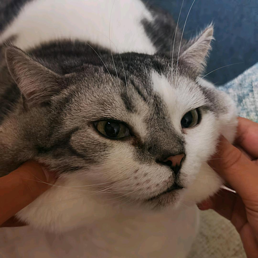 徐某の本人