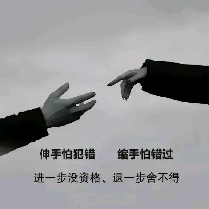 会飞的鱼