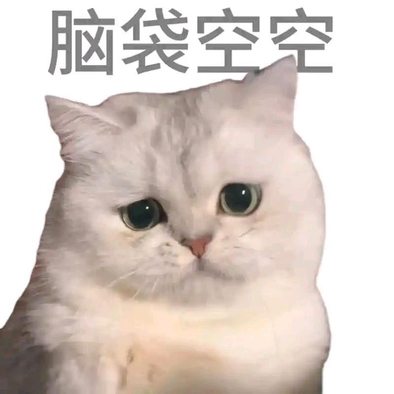 👻你不要给我哇哇叫