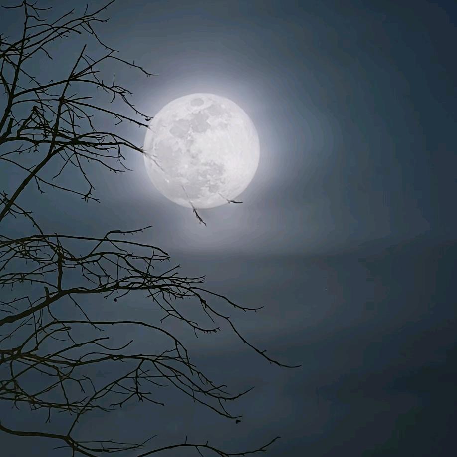 那年冬天风在吹