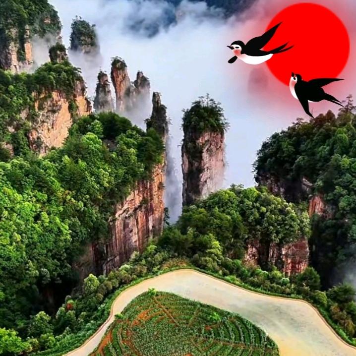 㣻ฅʕ•̫͡•ʔฅ罖