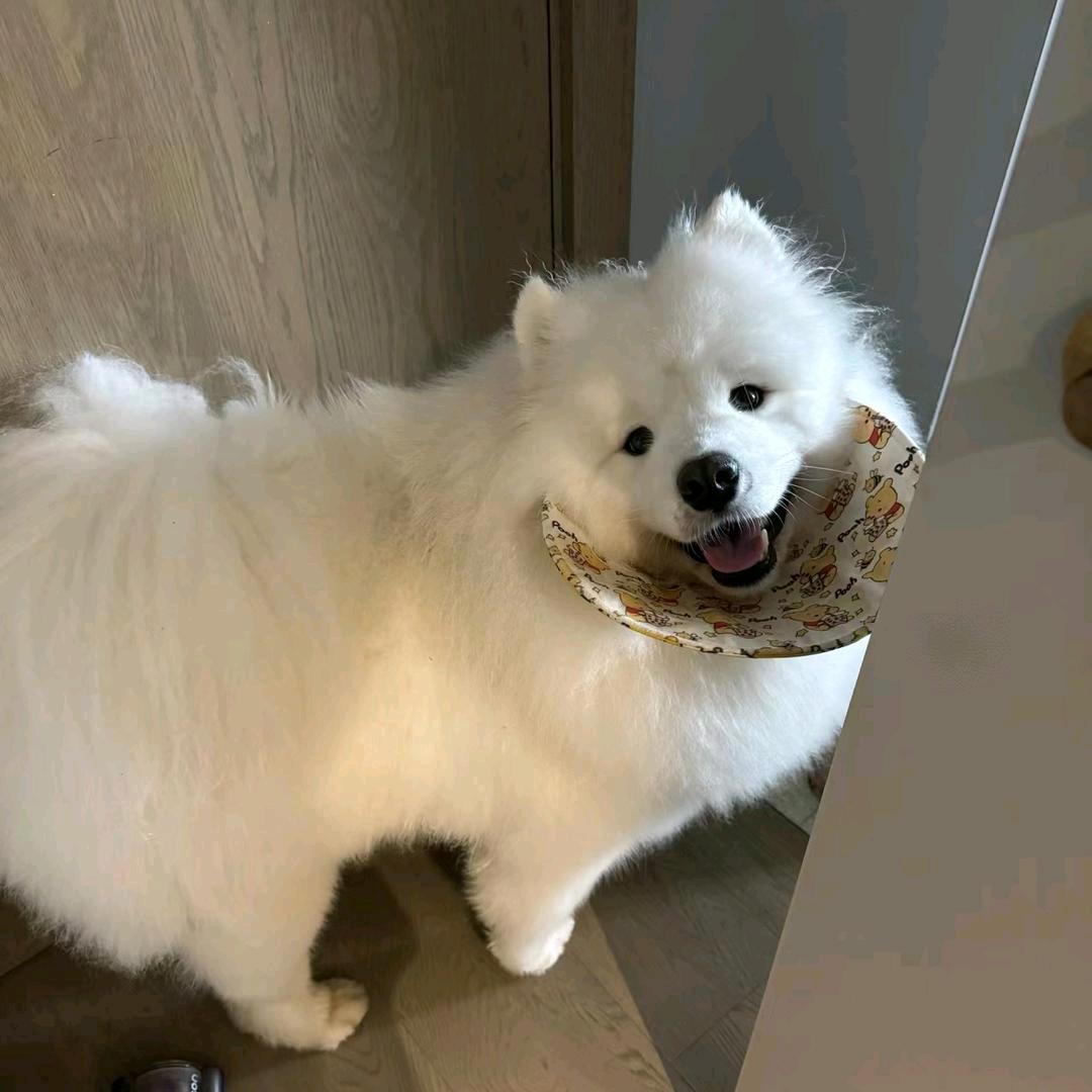 1_y