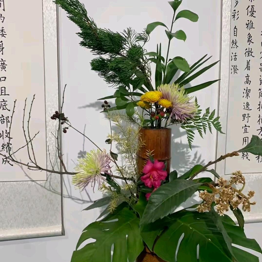 随缘👩🏻