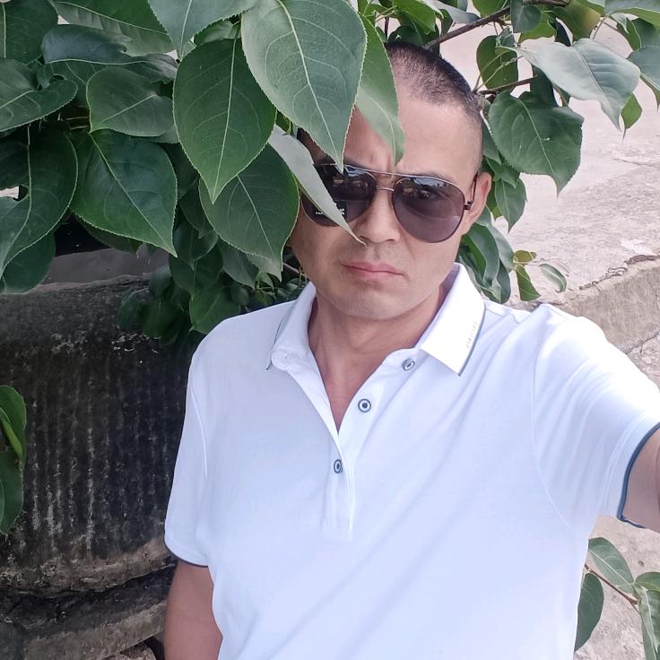 敬承强《阆中，属羊》