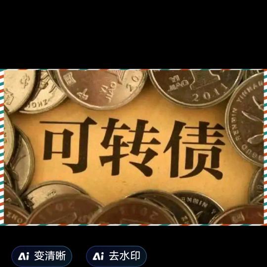 可转债：债地主