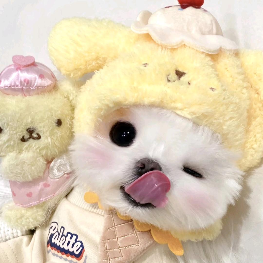 爱吃土豆🥔