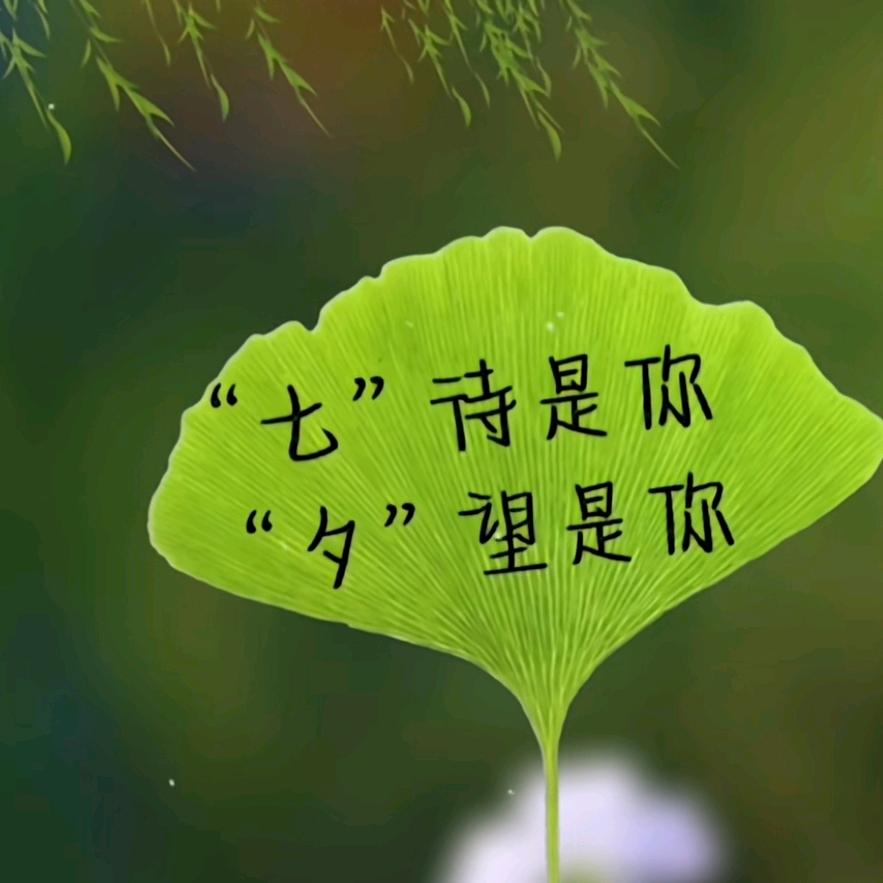 羊小樺🤡