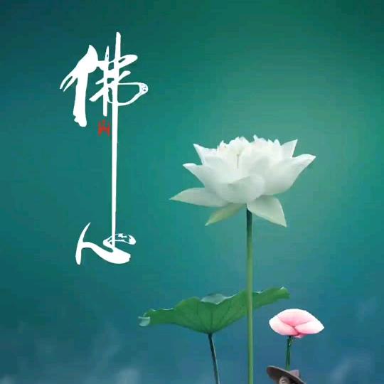 佛心