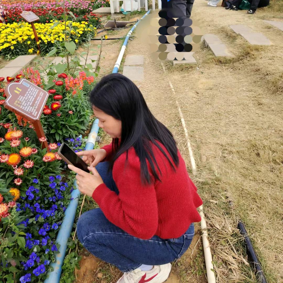 平平淡淡过生活