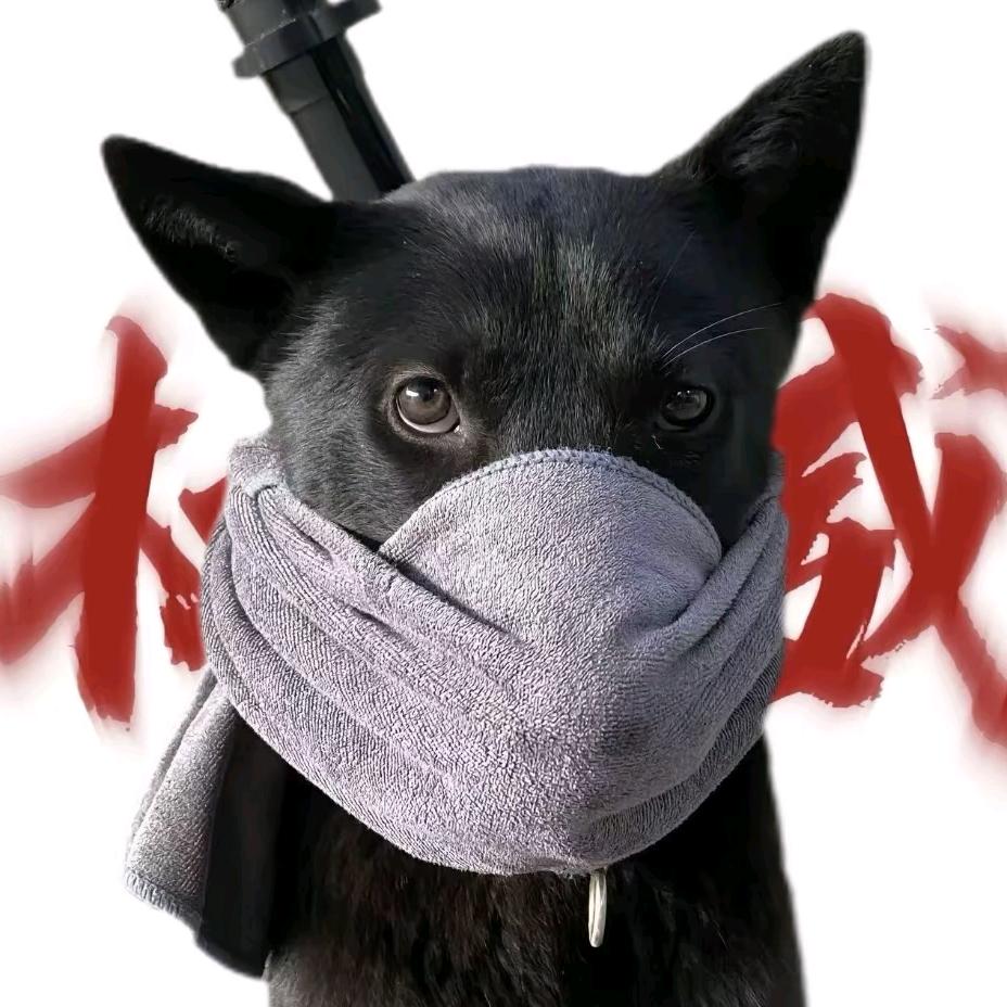 满山猴腚我最紅