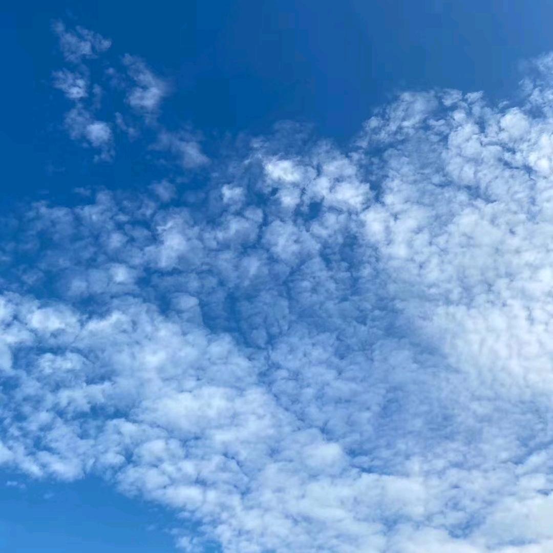 ☞小志，