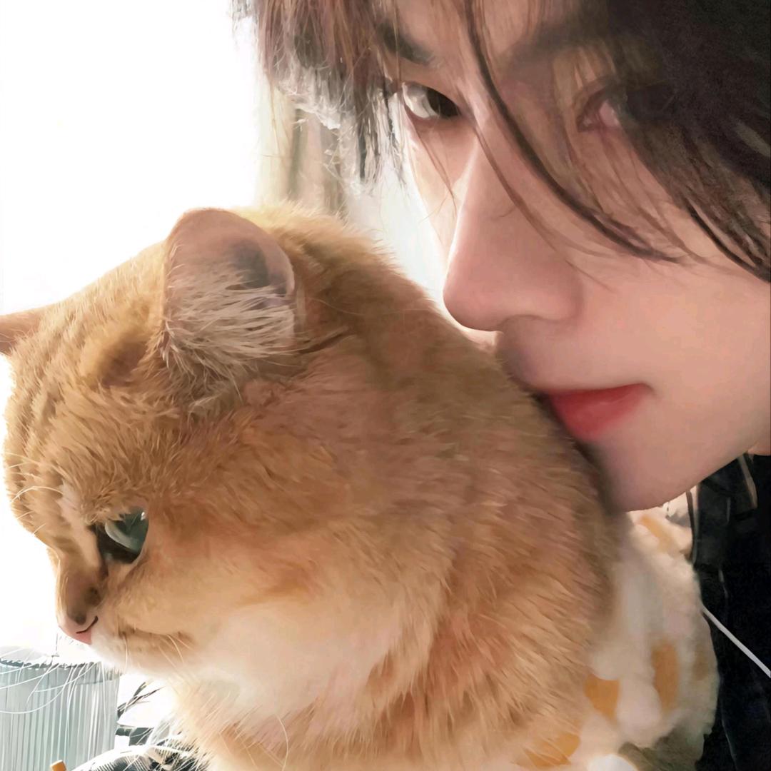 偷藏失落的猫❦