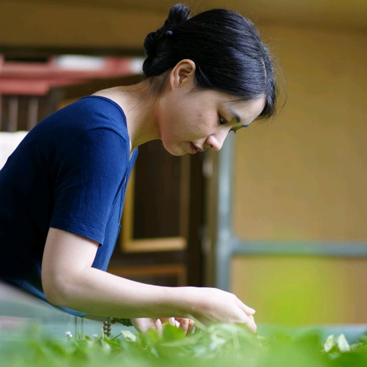 禄云茶事