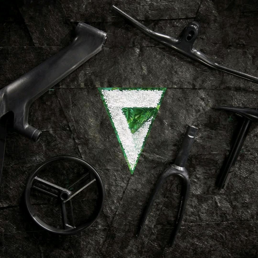 Rex2005（睡觉版）