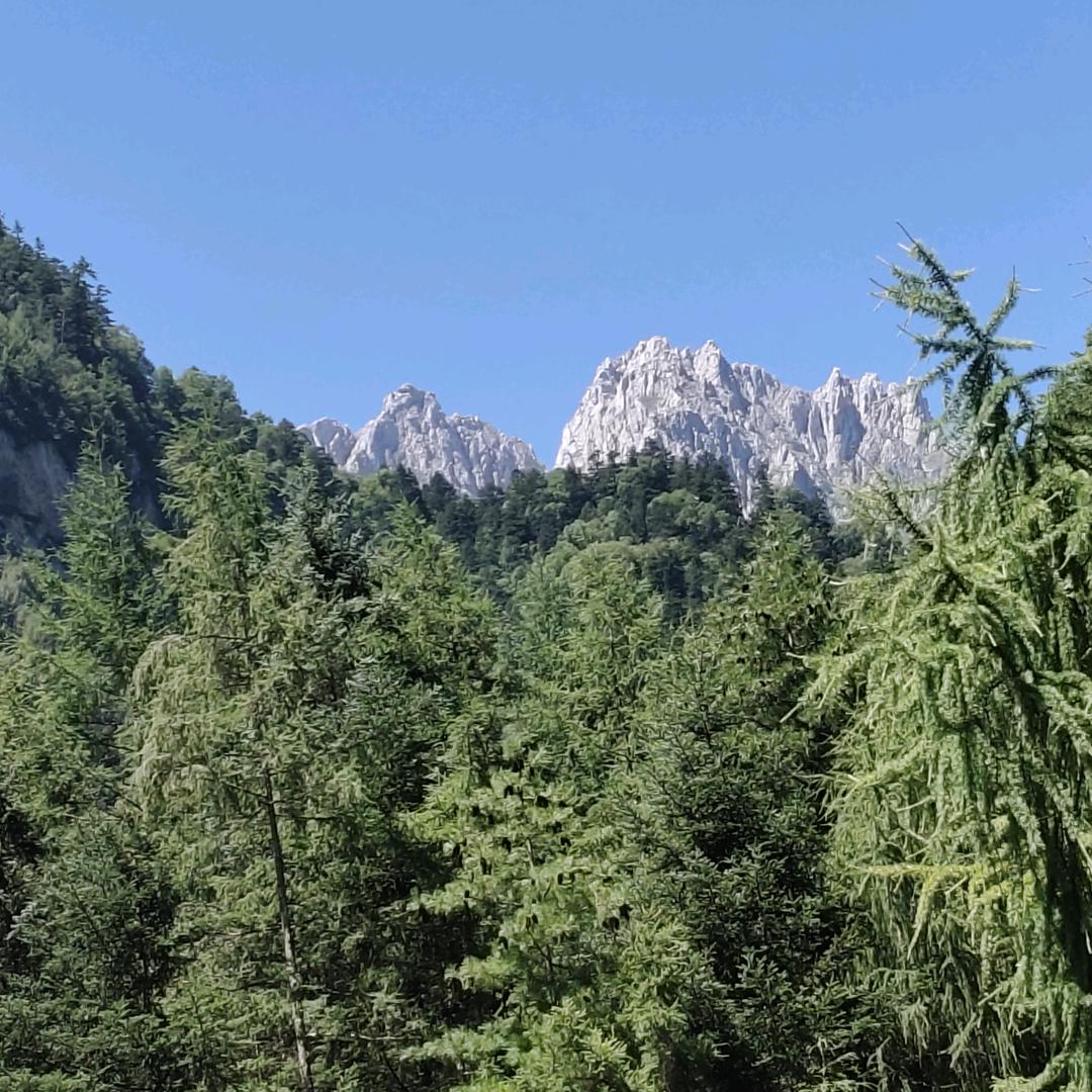 时光不可以倒流