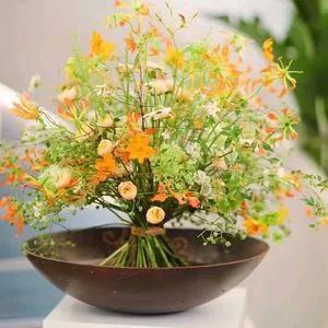 生生绿植