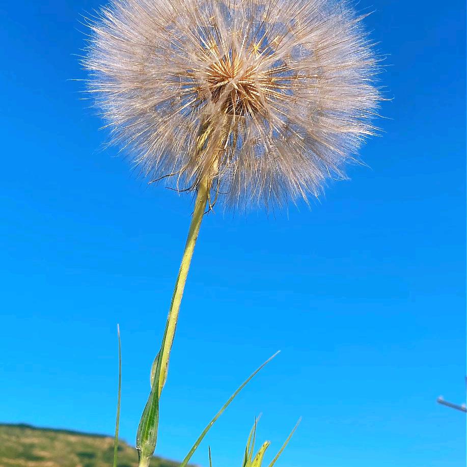 美丽的遇见