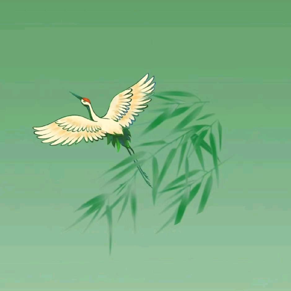 鹏举
