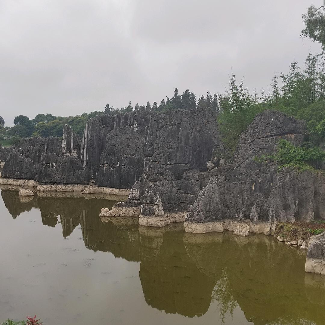 老头饕选的干货