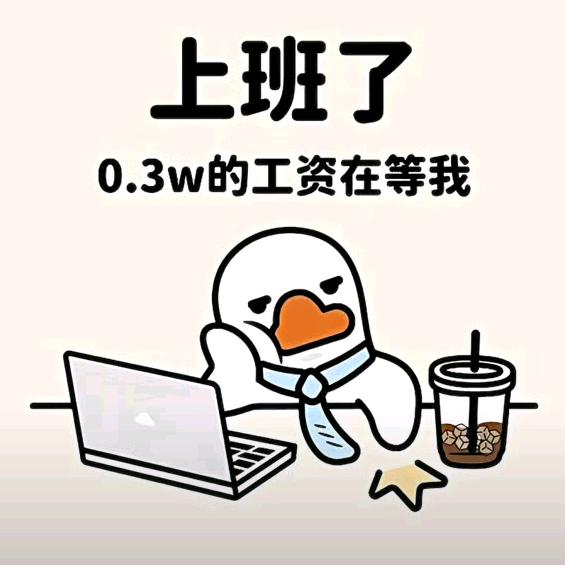 靳哥🤪