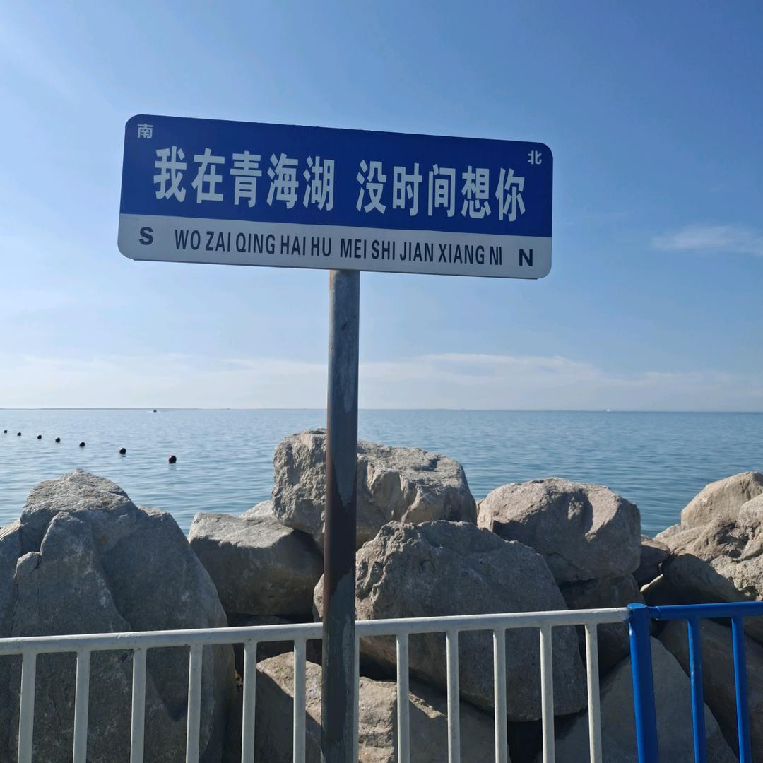 爱拼会赢