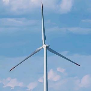 爱跳舞的大烧夹