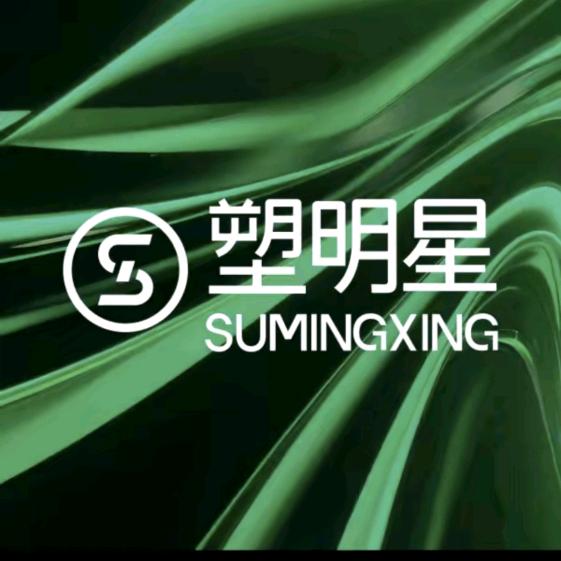塑明星的头像