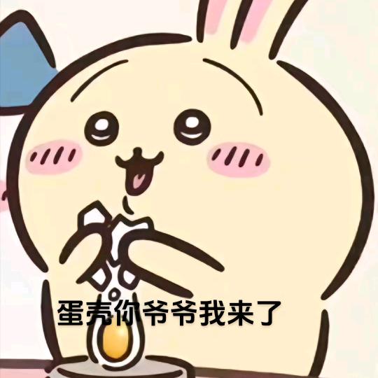 🐏양은 정말 둥글다