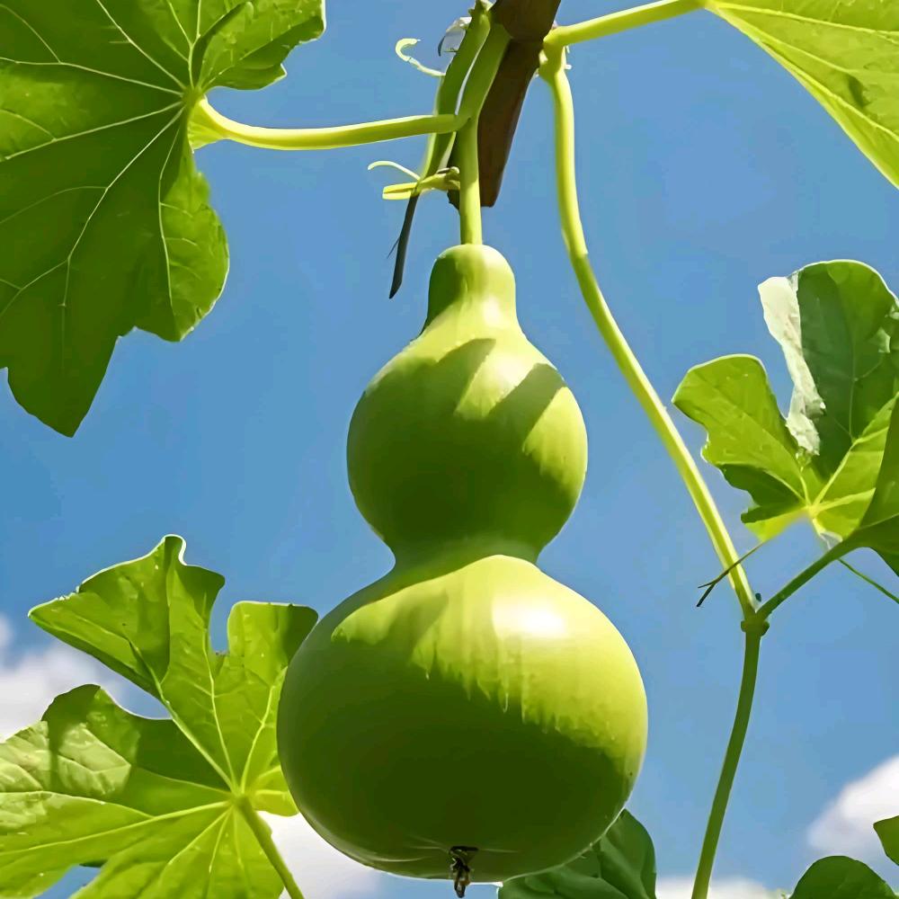 * 爱意随风去 ♡