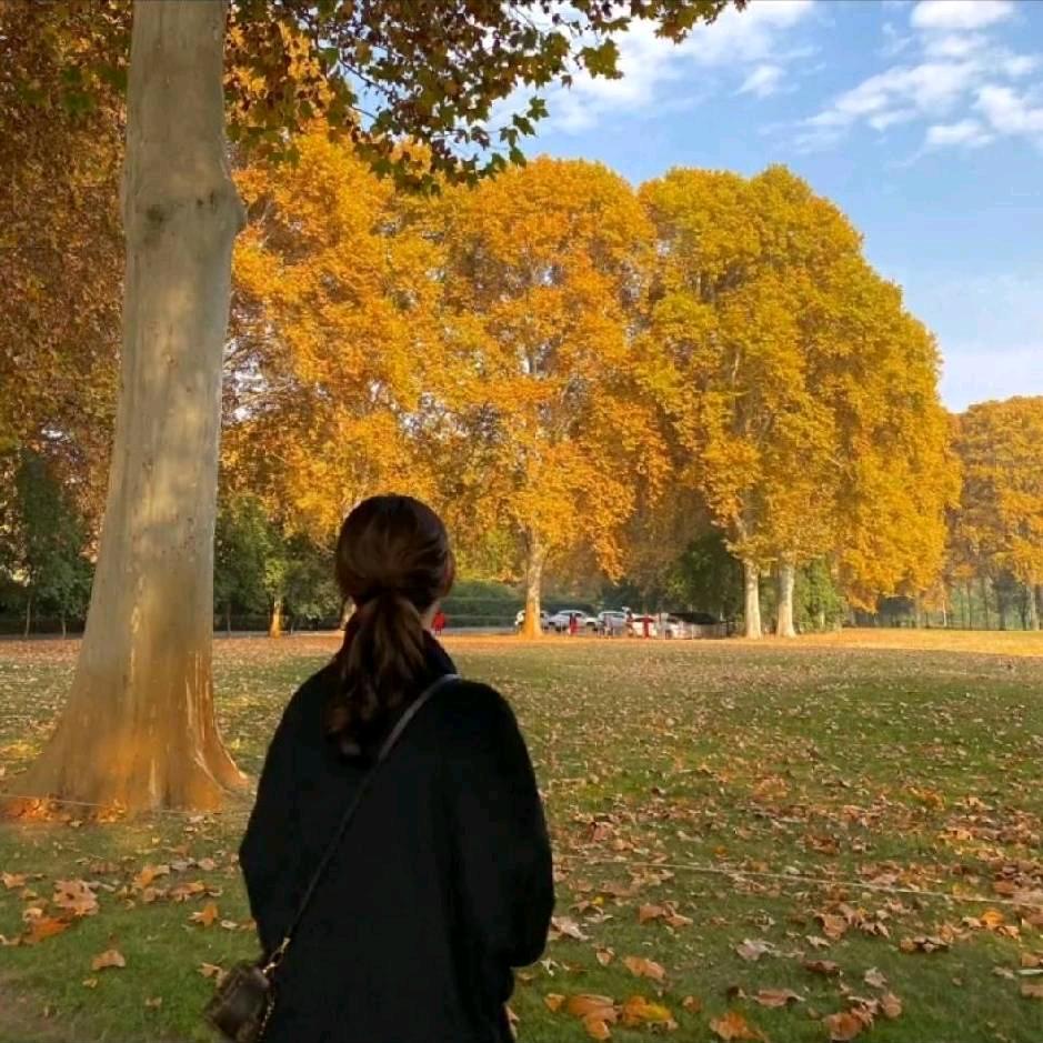 大周是佩奇呀！