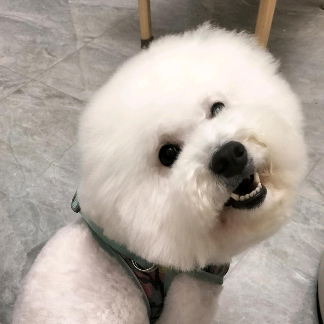 毛毛雨