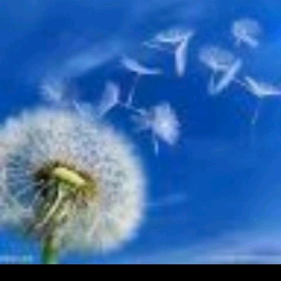 小学数学思维提分(助力期末提分)