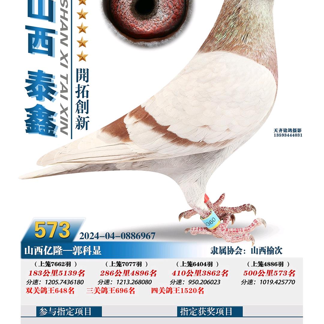 山西壹號鸽舍薛斌