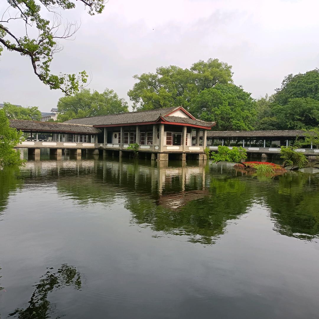 @映山红 谢谢[玫瑰