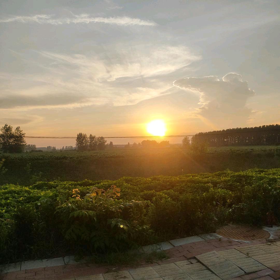 @小龙