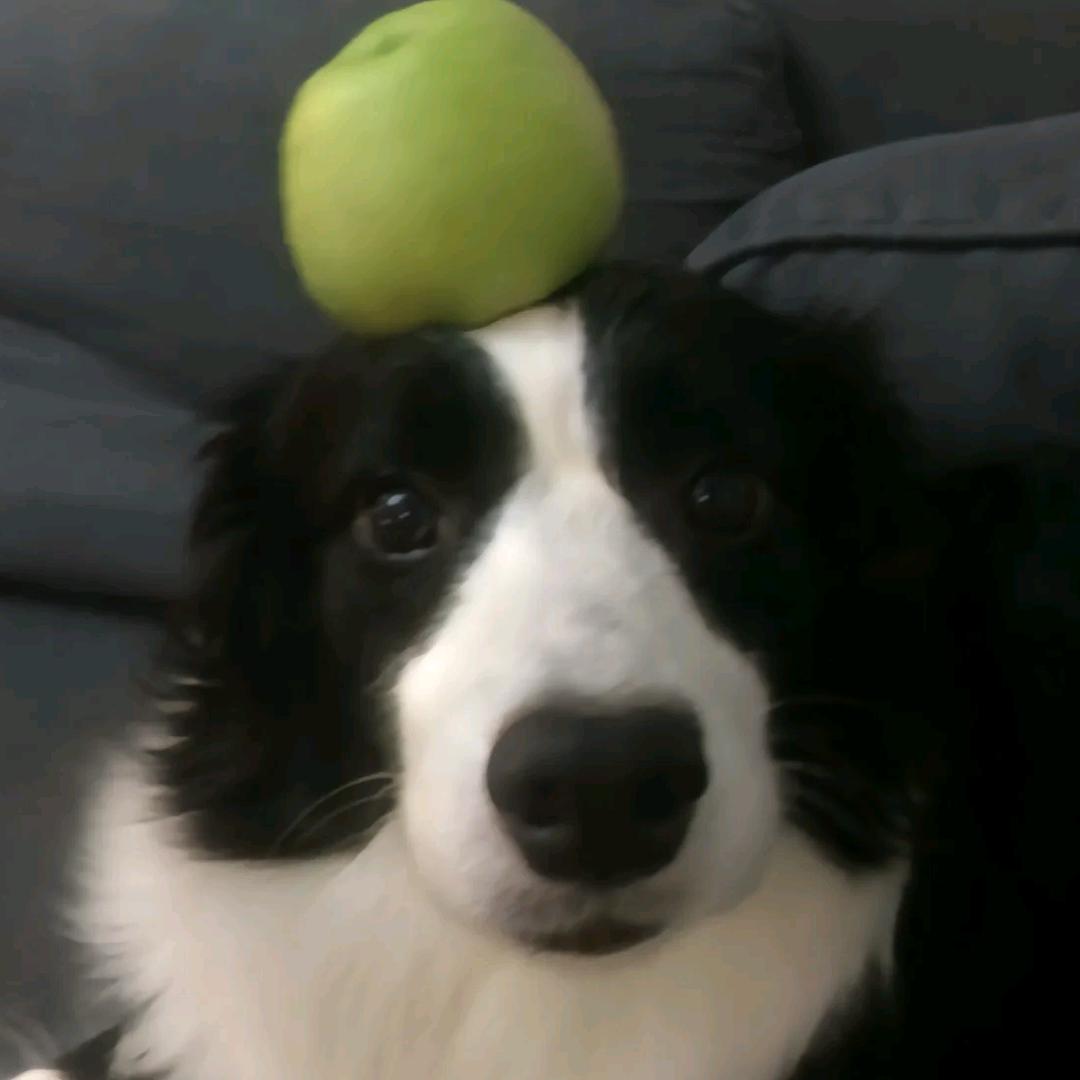 明治草莓牛奶激推