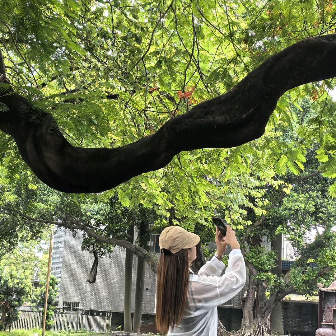 积（谷）防饥