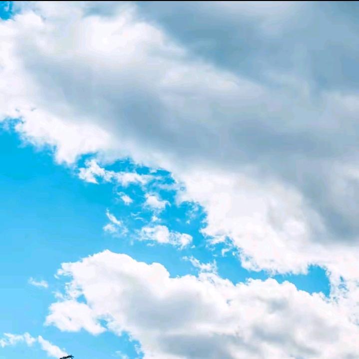 看破红尘自收心