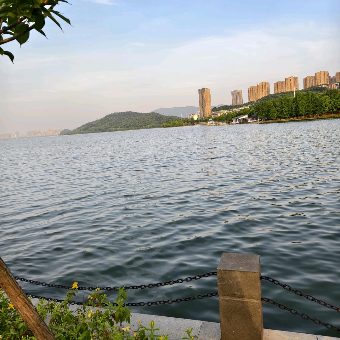 ε清风烈酒~醉人心<ξ<