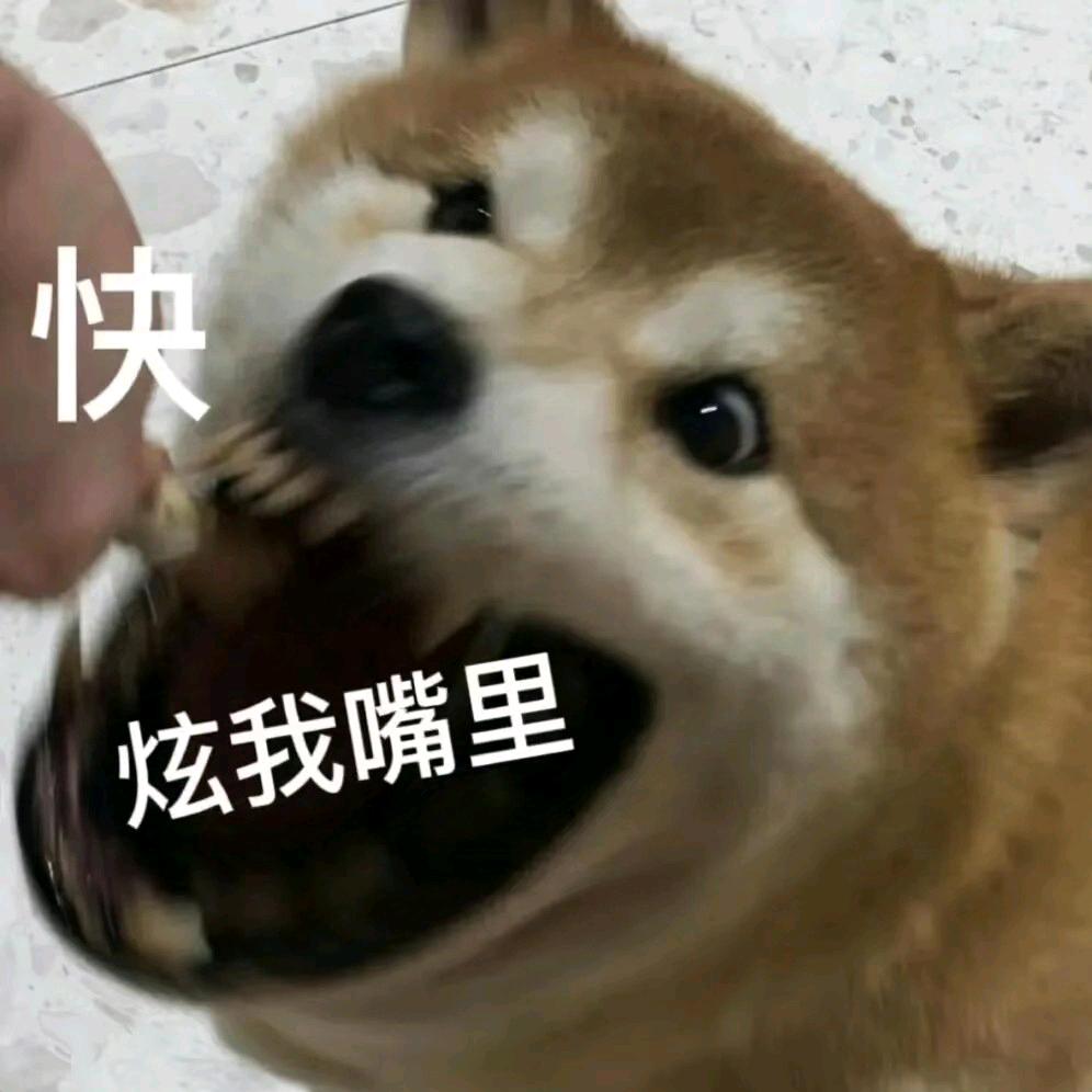 春春爱吃香菜