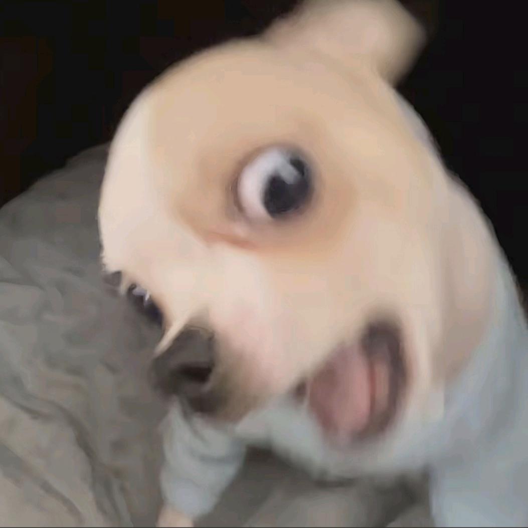 妈妈说念完我名字的都会变成超级无敌大笨蛋