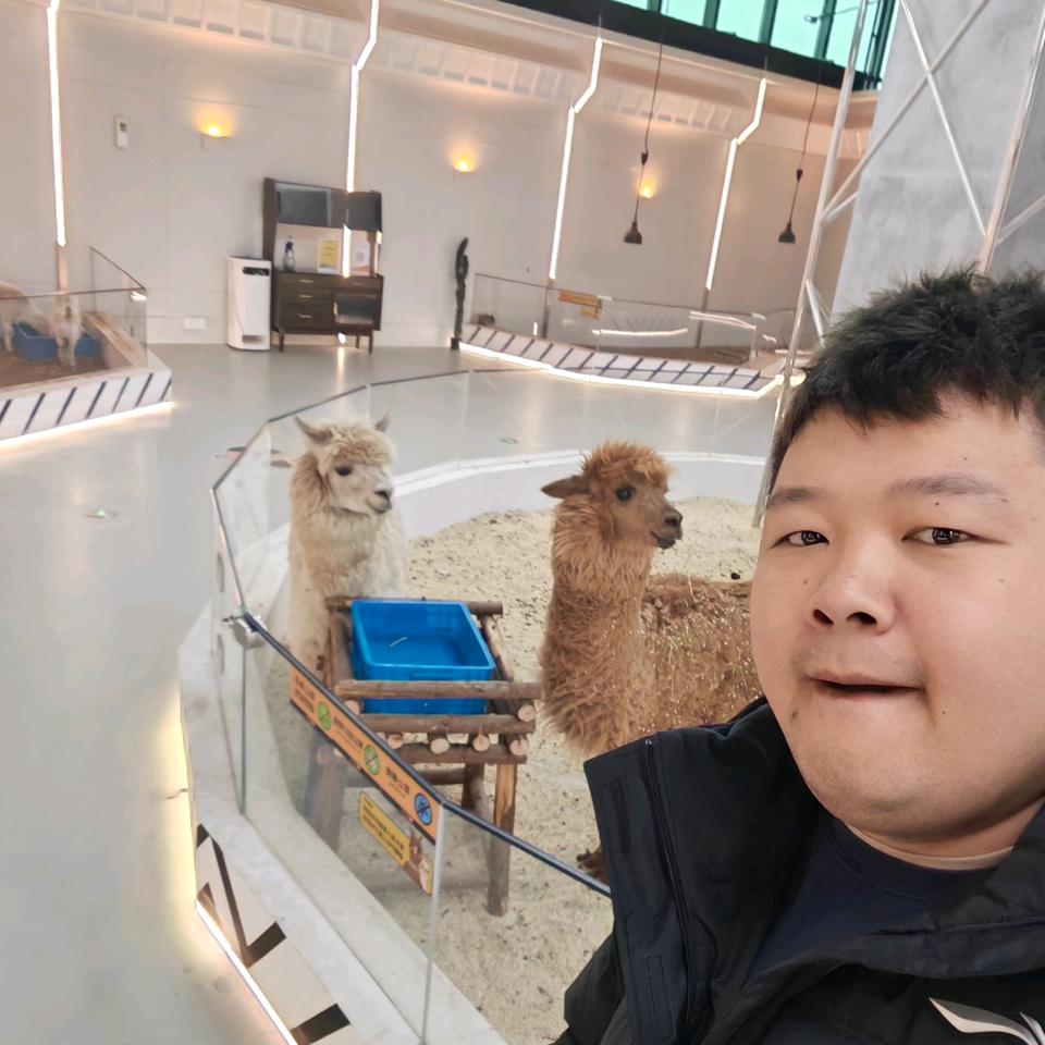 一只搞笑的赵财猫