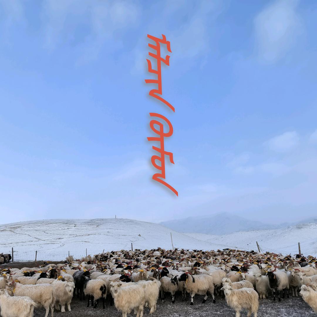 青海——玛拉沁（蒙）👲