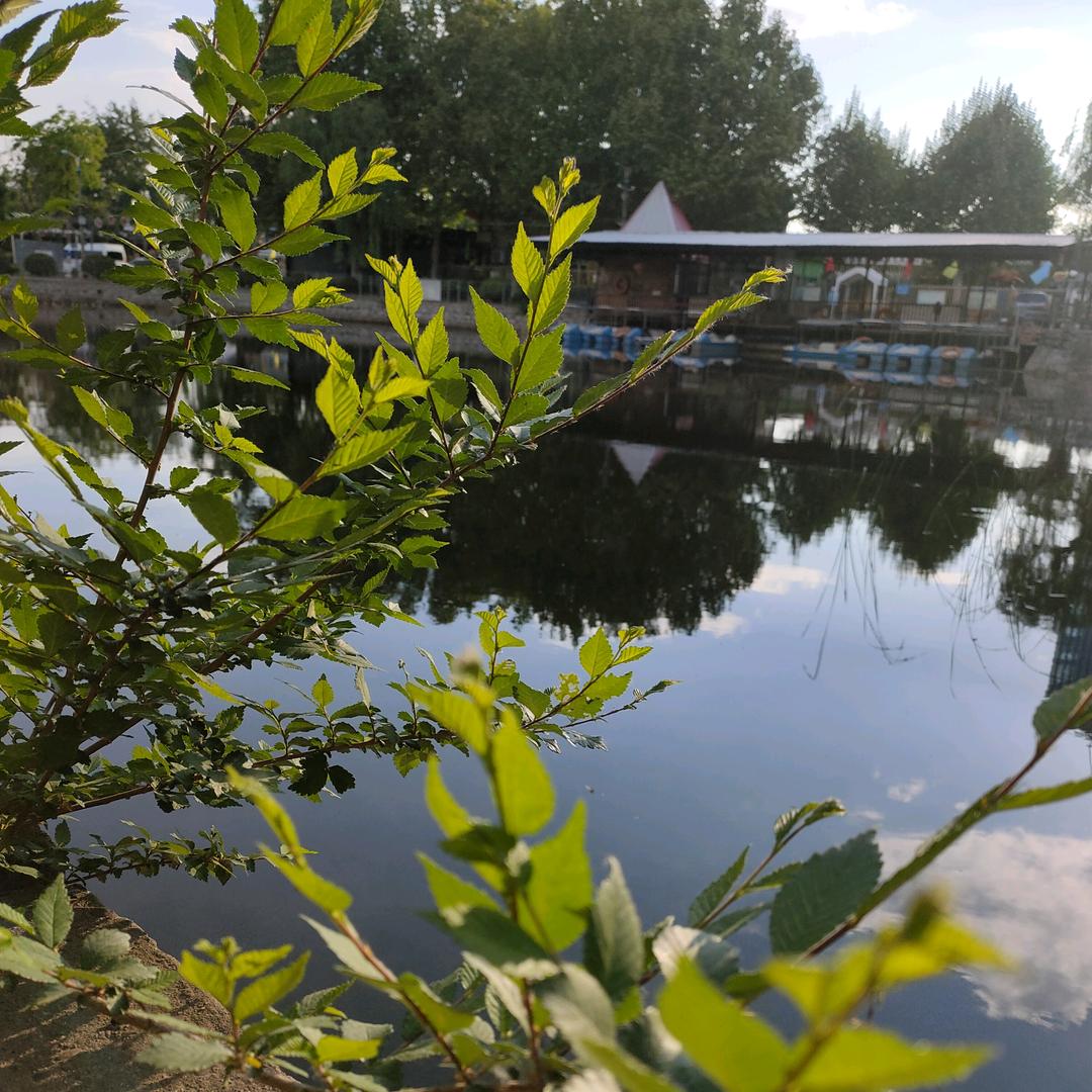 刘一博    　　　　　　╲