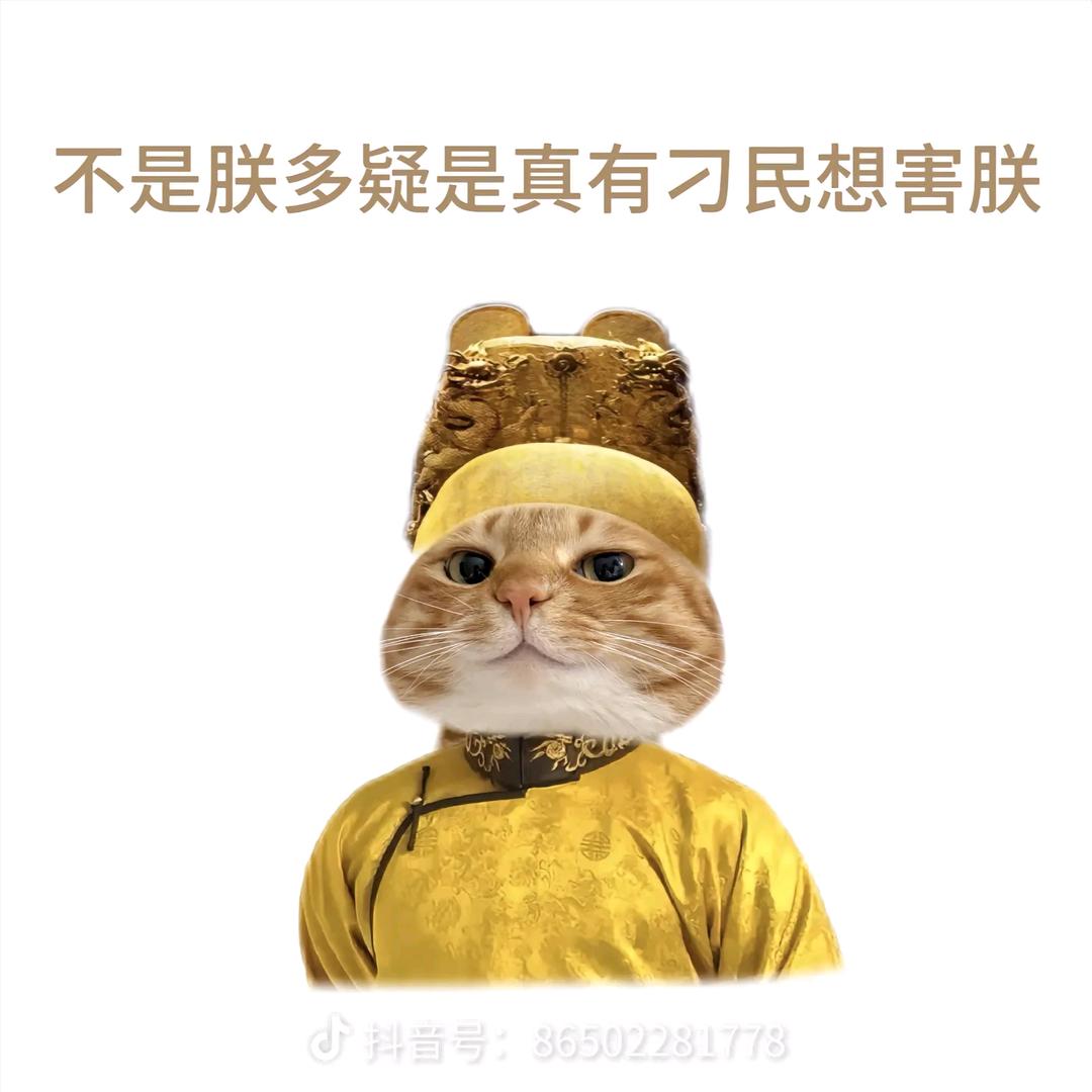 遵命老婆大人