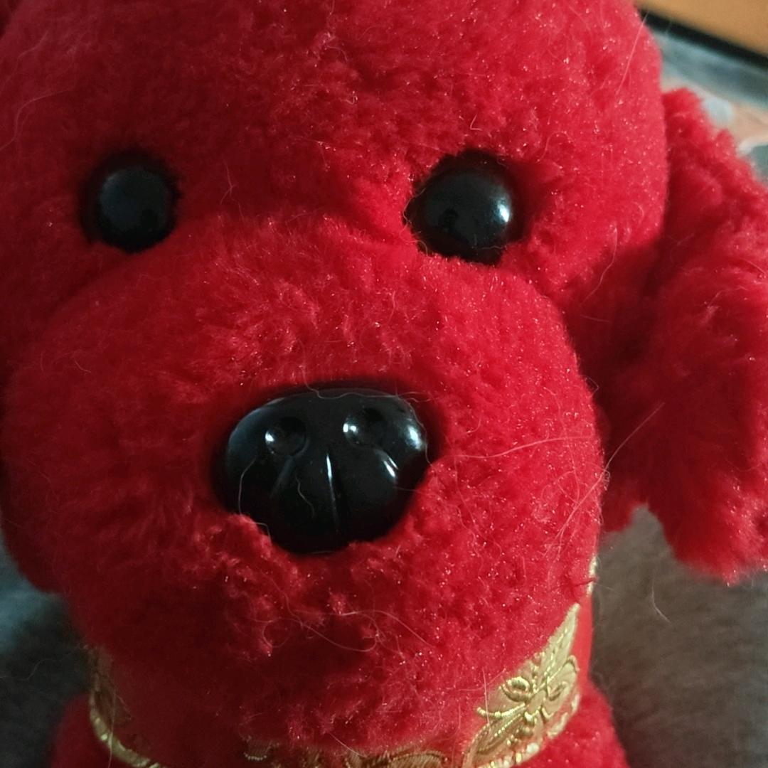疯狗