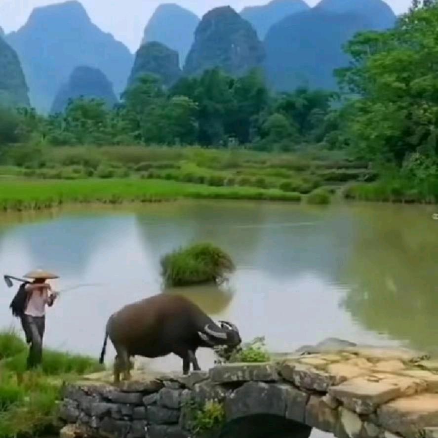 粤K，红尘只是过客