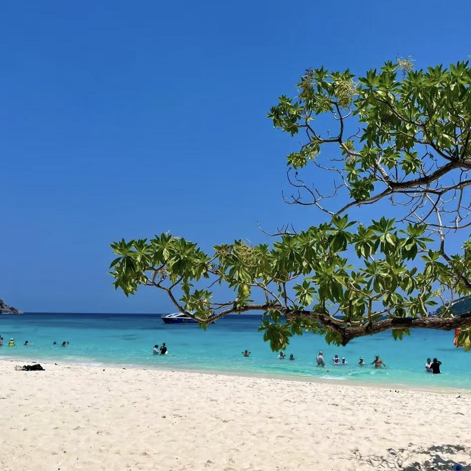 夜晚在海边聆听